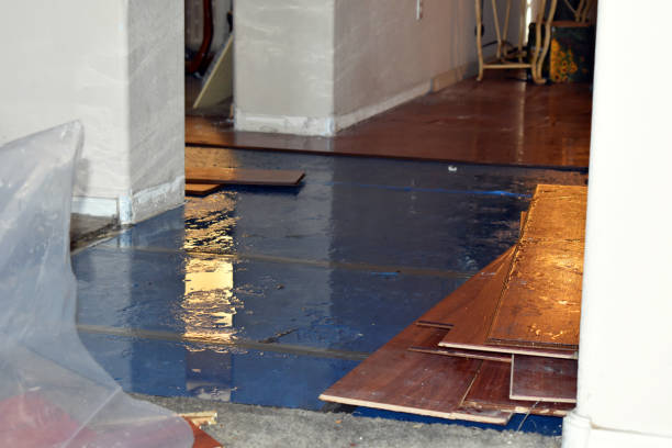 Professional Water Damage technician working in Section, AL
